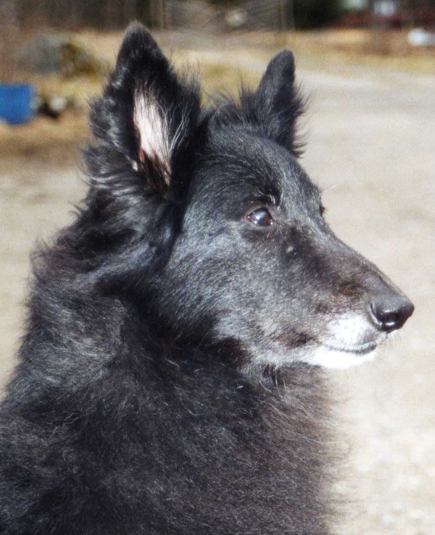 Lakka